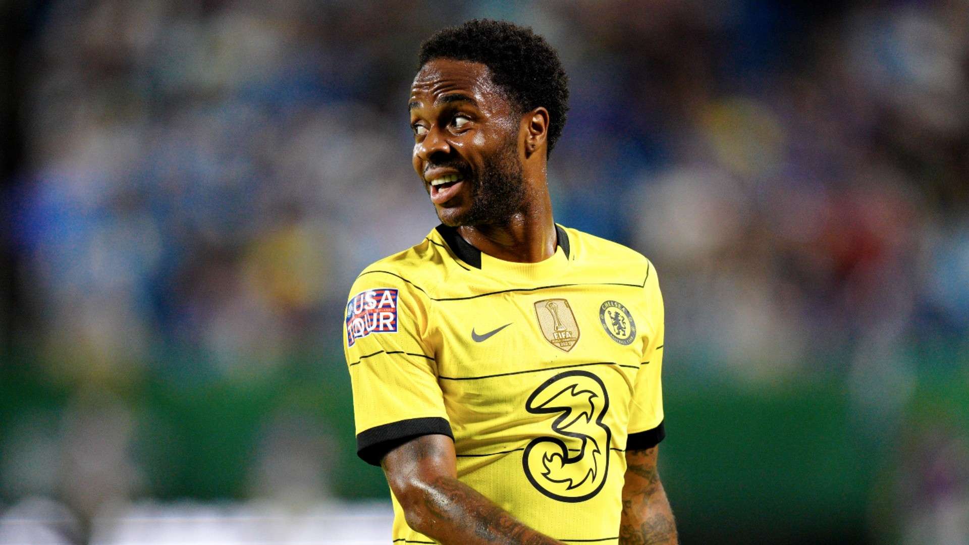 顽强拼搏的 顽强拼搏的