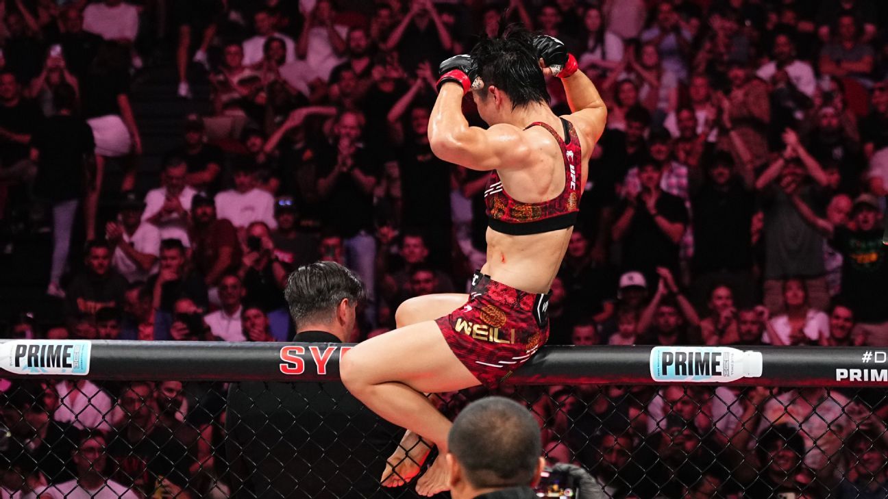 为无数怀揣 为无数怀揣